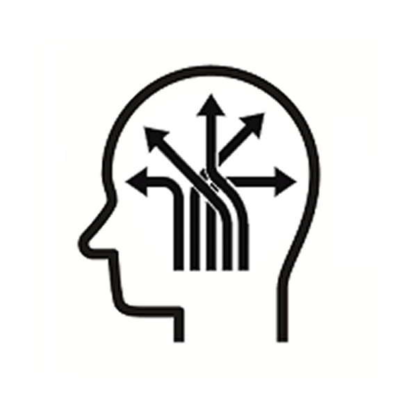 Cognition and Decision Modeling Lab